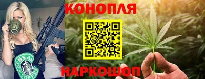 стаф Бузулук